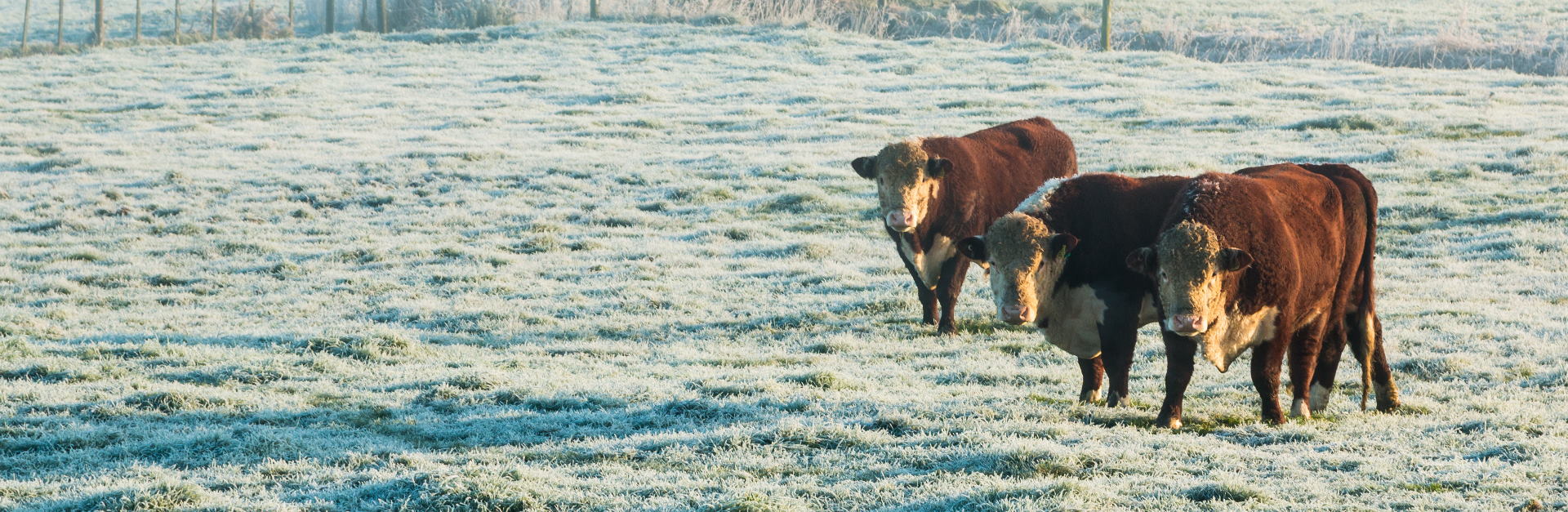 Farmers header